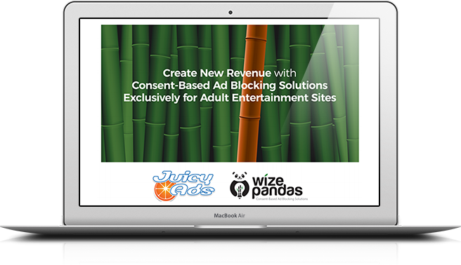 WizePandas Media kit laptop